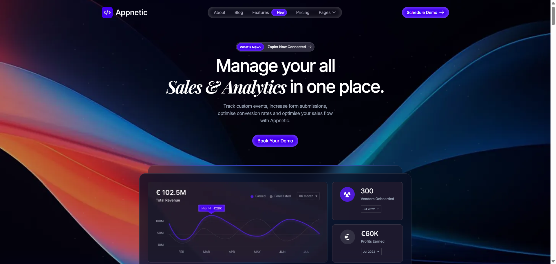 SAAS Website